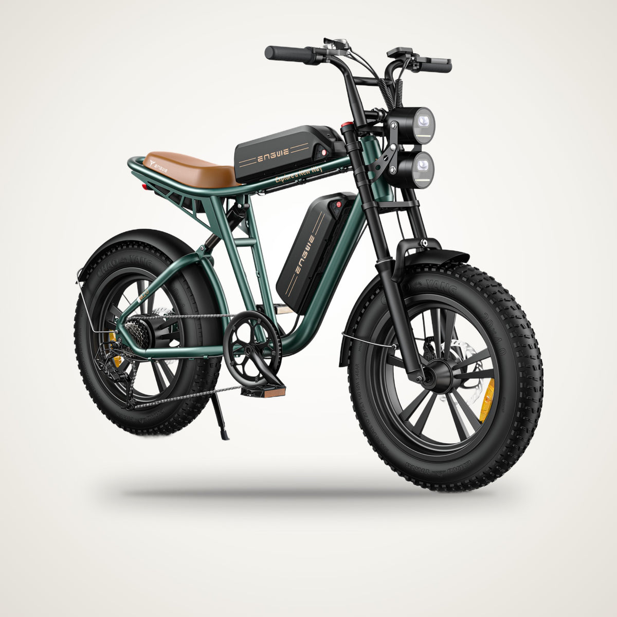 ENGWE M20 Moped-Style Fat Tyre E-Bike – 750W, Single or Dual Battery, up to 150 km